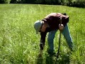 Camerille Farm Stewardship