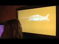 Sea Monsters Interactive Exhibition, Lisbon Oceanarium Sea Monsters Interactive Exhibition, Lisbon Oceanarium