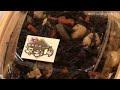 initio foods - initiative on the table : DigInfo