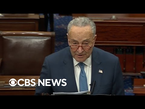 Chuck Schumer delivers Senate speech on antisemitism – Why Evolution Is