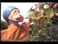 la verdadera historia de caperucita roja titeres
