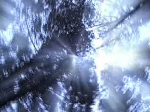 Ver video