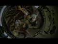 You and I / Finding t.A.T.u. trailer
