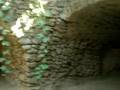 FORESTIERE UNDERGROUND GARDEN.2