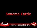 Sonoma Cattle Steak Prime Rib