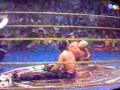 LA MOSCA VS EL BURRO SANTILLANA.3gp