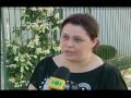 Violência Escola - 20/11/2009
