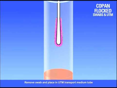 how to collect np swab