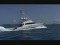 Reeling in Marlin in St. Thomas ! Reeling in Marlin in St. Thomas !