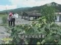 南Q太
