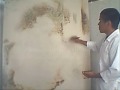Video screenshot