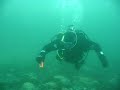 dykking meløy dykking meløy
