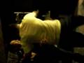 videos de cumbia