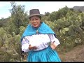 Hospital de amores - con la voz dulce de Ayacucho Hospital de amores - con la voz dulce de Ayacucho