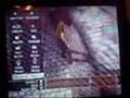 videos de spot owned first try and a..um.. shuvit shifty??-bad quality