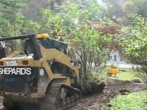 how to replant a lilac bush