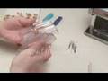 Popular jewelery bead with fimo magic roller.