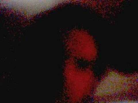 Re: VLog #3:  call a soldier