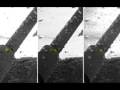 videos de Water droplets on Mars