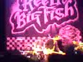 reel big fish party down