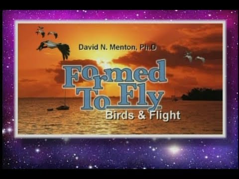 Origins – Formed to Fly with Dr. David Menton (dinosaur – bird evolution refuted)