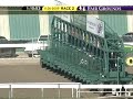 FAIR GROUNDS, 2009-11-26, Race 2