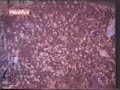 ascenso 1997  final  defincion por penales 