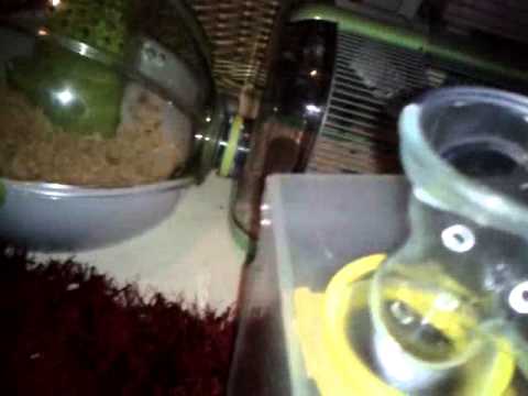 how to attach water bottle to zoozone