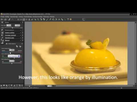 Simple basic adjustment of SILKYPIX.