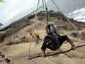 Hang Gliding - Furious Angels