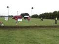 videos de bontebok 03