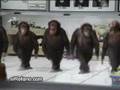 karadeniz hayvanat bah�esi   laz m�zik video
