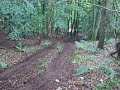 simon groves ebworth trial mk1 escort