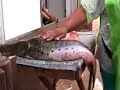 Paraguay Truck abnd Fish Lady