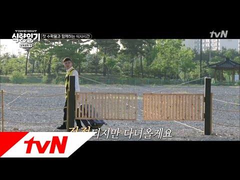 fooddiary 나 없는 동안 농장 잘부탁해요..♡(from. 농장주) 180704 EP.5