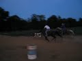 Squirt Head/Heel Horse for sale1