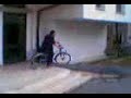 Pelazza Jackass