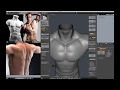 Sculpting a Male Human Bust in Blender