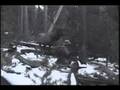 videos de Elk that Got Away.