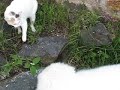 Kyla and Milka 1