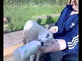 Chops Feeding Time!