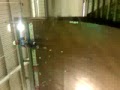 savy slide 1