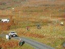 James Magilvary - Calgart steps - Tour of Mull Rally
