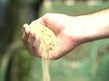 Backyard Composting-Part 1 of 2 Backyard Composting-Part 1 of 2