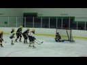 Wayzata B White