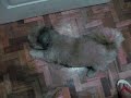 062308-Hugs Kamot
