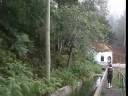 Levada dos Tornos and Hortensia Gardens