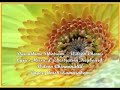 Daivathinu Sthotram....Malayalam christian song