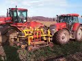 Case CVX195 Harvesting Parsnips + Quadtrack 450!!!!! Case CVX195 Harvesting Parsnips + Quadtrack 450!!!!!