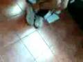 Dustin Duque of II - Prosperity 08 -09 !!! ..\..(o_O)../..